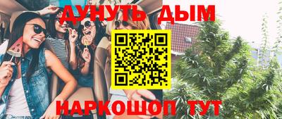 сатива Бузулук