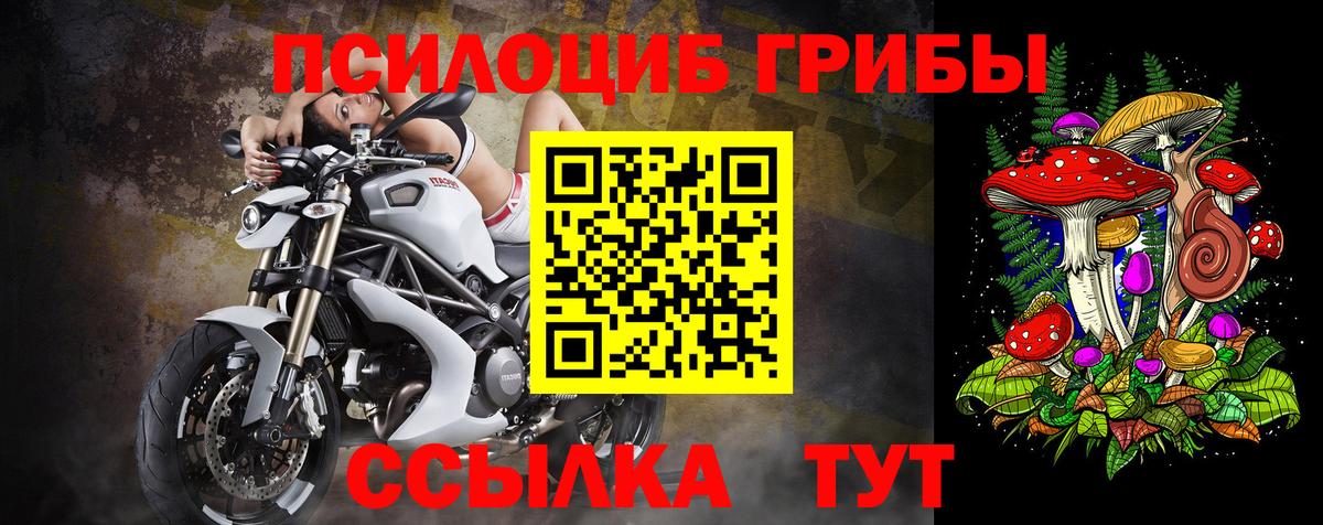 Лесной  Псилоцибиновые грибы MAGIC MUSHROOMS  Вход с VPN 