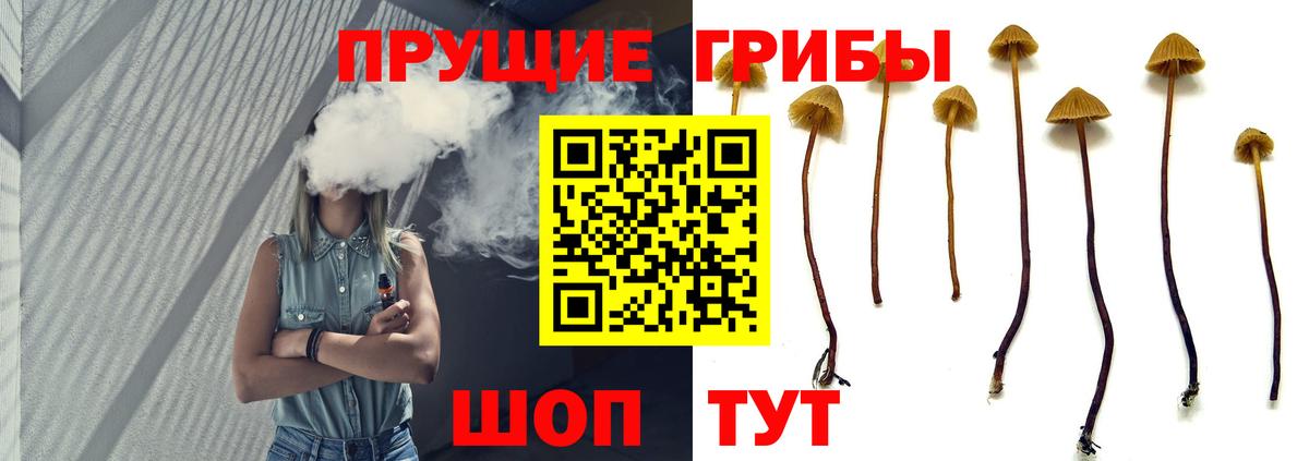 Галлюциногенные грибы GOLDEN TEACHER Лесной